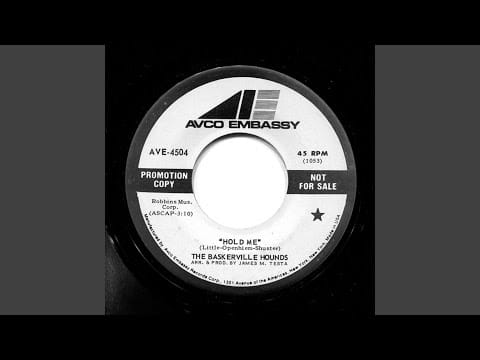 The Baskerville Hounds — Here I Come Miami