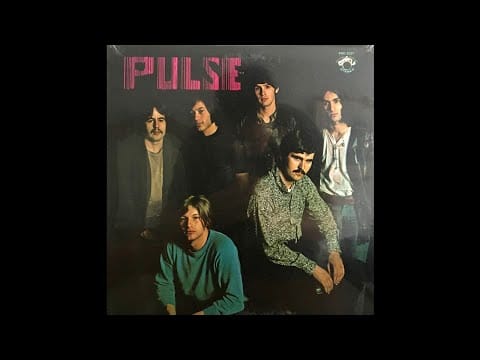 Pulse (20) — Pulse. Amassilation.