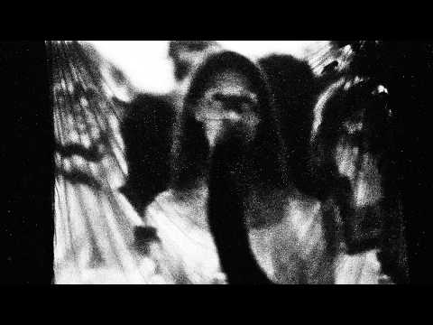Opus Kink — 'The Head Tree' ft. The New Eves (Official Visualiser)