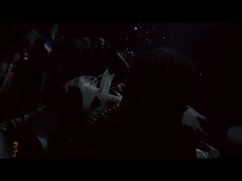 Shabazz Palaces — Shabazz Palaces - Goat Me (feat. Cobra Coil) (Official Video)