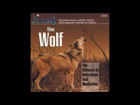 John St. John — John St. John ‎– The Wolf