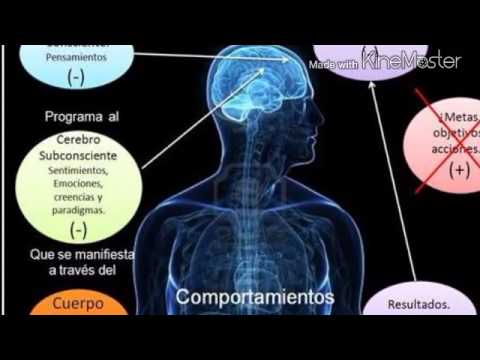 Demoniac Insomniac — Paranoiac - Factores Externos
