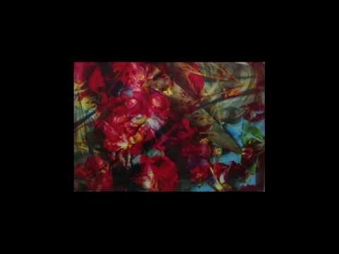 The Bardots — The Bardots - Pretty O