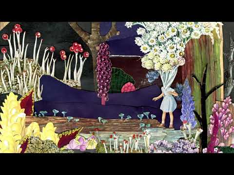 Psychedelic Porn Crumpets — Bill's Mandolin