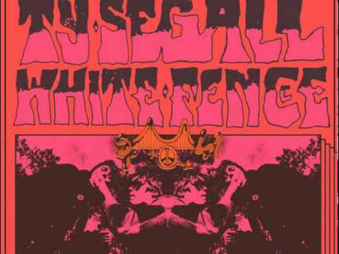 Ty Segall — TY SEGALL / WHITE FENCE   crybaby