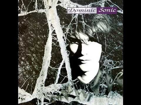 Dominic Sonic — Dominic Sonic - Hey Hey My My (1991)