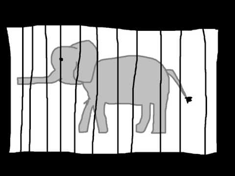 Cage The Elephant — Cage the elephant - back against the wall