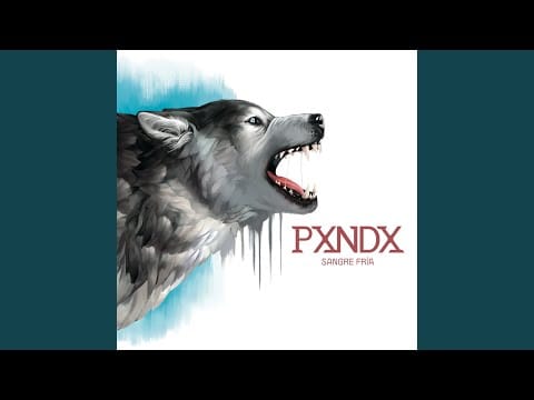 Panda (11) — Lunar De Clavícula