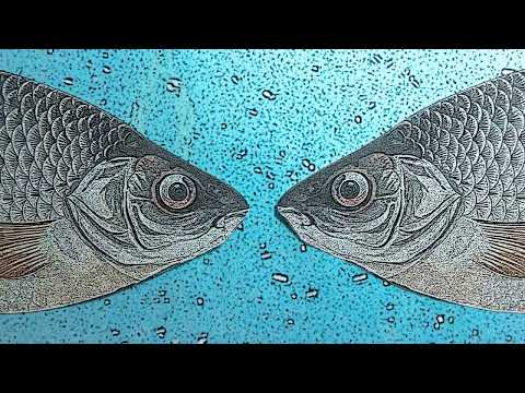 Robyn Hitchcock — Robyn Hitchcock - The Raging Muse (Official Video)