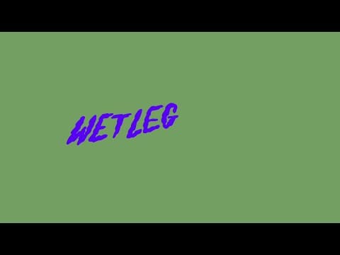 Wet Leg — Wet Leg - I Don't Wanna Go Out (Official Audio)