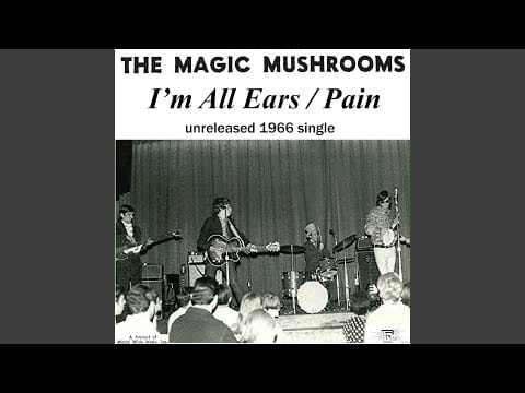 The Magic Mushrooms — I'm All Ears