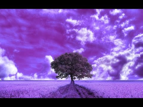 Joy Orbison — Boddika & Joy Orbison - Swims (Mix 2)