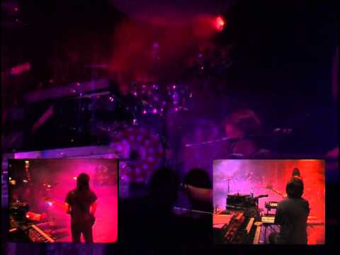 Pink Fraud — Pink Fraud - Dogs