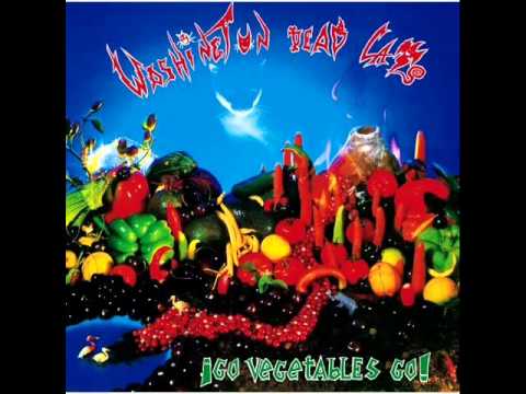 Washington Dead Cats — Washington Dead Cats - Who's Behind The Window