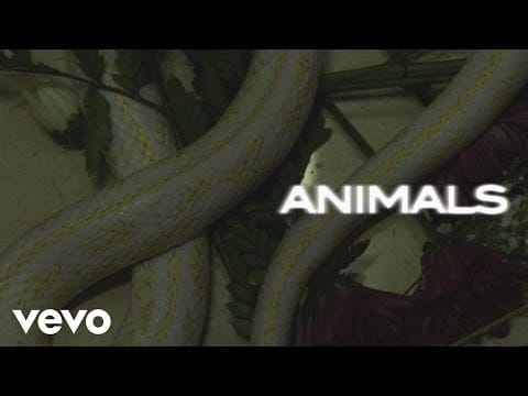 Maroon 5
 — Maroon 5 - Animals (Lyric Video)