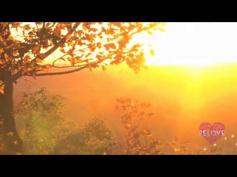 Sharon Phillips — Sharon Phillips - Touch Me (Tiefschwarz Remix)