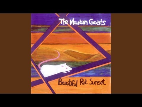 The Mountain Goats — Seeing Daylight