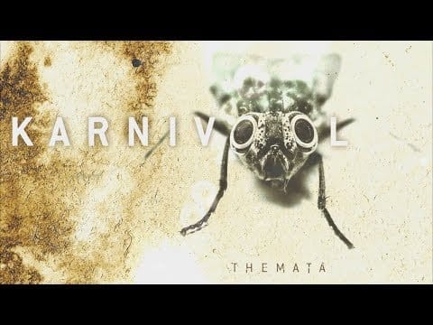 Karnivool — 6. Lifelike - Karnivool [HQ]