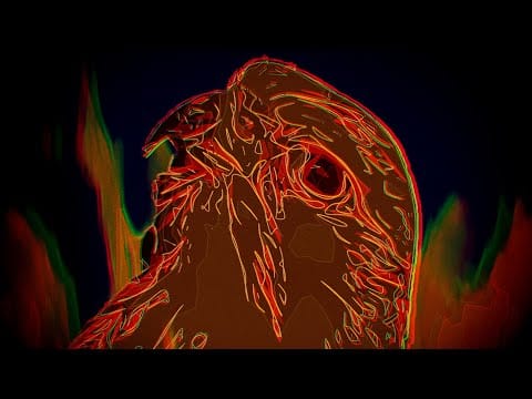 Metz — Come On Down (feat. Joe Talbot)