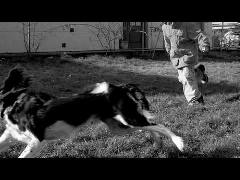 Bobby Jameson — Bout Being Young  Bobby Jameson 1969