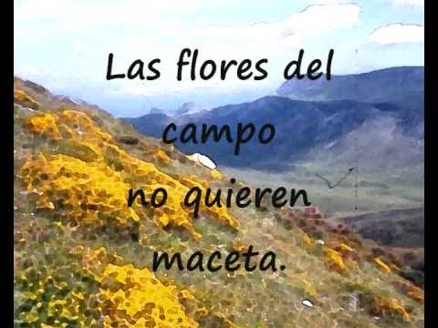 Kiko Veneno — Estaba lloviendo - Kiko Veneno