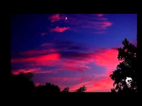 The Jumping Jewels — THE JUMPING JEWELS Twilight time