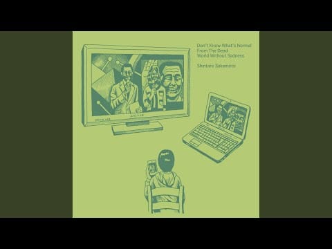Shintaro Sakamoto — Don't Know What's Normal