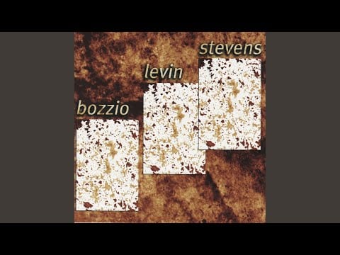 Bozzio Levin Stevens — Lost