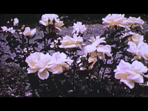 Brambles — Brambles - To Speak of Solitude
