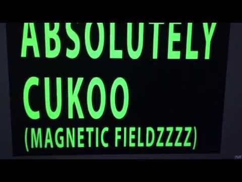 FIDLAR & BULLY — ABSOLUTELY CUKOO (MAGNETIC FIELDS)