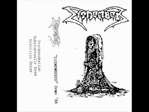Dismember — Dismember - Defective Decay