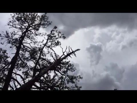 Wild Nothing — Wild Nothing - Paradise | Music Video