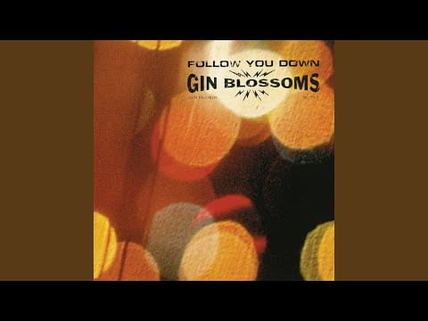 Gin Blossoms — Follow You Down (Edit)