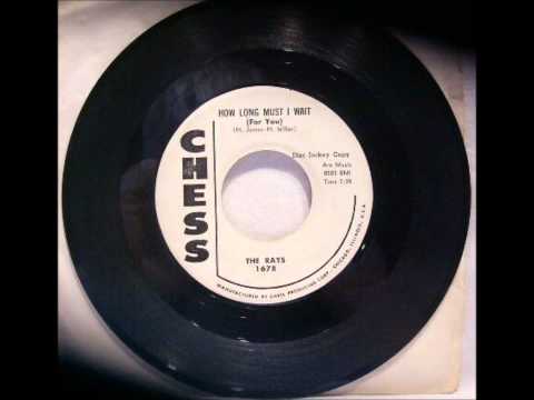 The Rays (2) — RAYS - SECOND FIDDLE / HOW LONG MUST I WAIT - CHESS 1678 - 1957