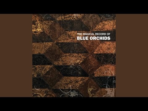 Blue Orchids — Don't Sell Your Mind