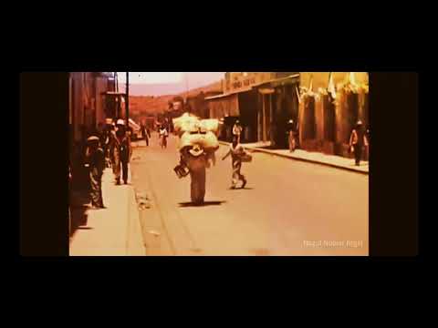 Arturo Meza — Arturo Meza  -  Tragamezcal