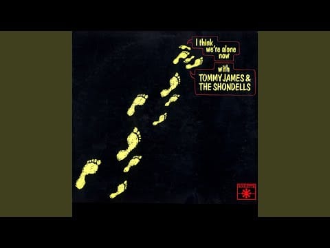 Tommy James & The Shondells — I Like the Way