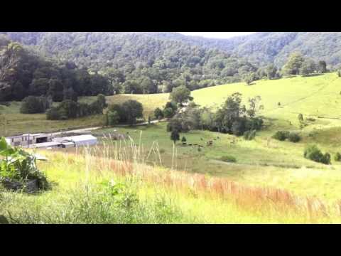 Tijuana Cartel — The Gathering (Zen Mix) | Tijuana Cartel | Gunyahweh | Time-lapse