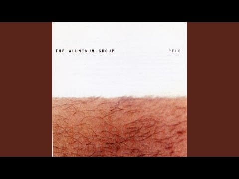 The Aluminum Group — Cannot Make You Out