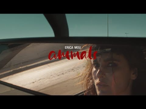 Erica Mou — Erica Mou - Animals