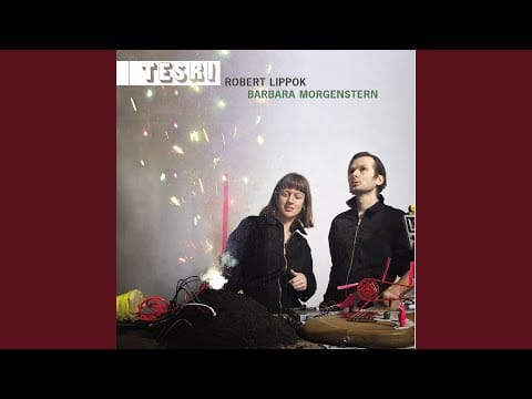 Barbara Morgenstern — Winter
