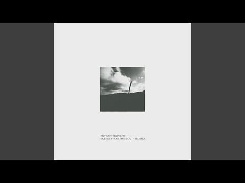 Roy Montgomery — Escape Velocity