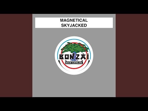 Magnetical — Mystery Track