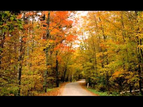 Lustral — Lustral - I Feel You (Tenishia Remix)