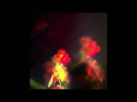 Wasia Project — Petals On The Moon