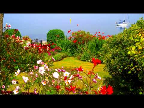 The Sandpipers — THE SANDPIPERS   CUANDO SALI DE CUBA