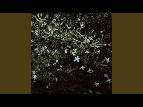 Marco Castello — Beddu