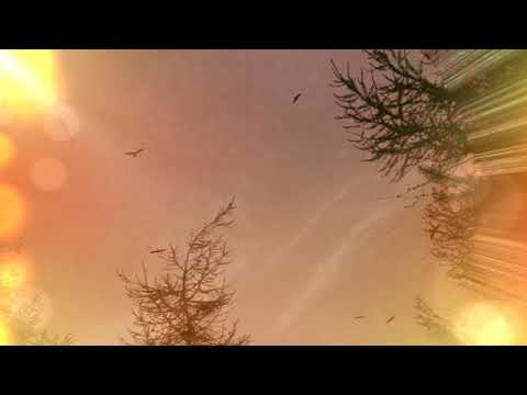 Shakti — Shakti [Feat. Jade 4 U] - Jade's Dream