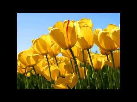 Liv Kristine — Liv Kristine - For a Moment
