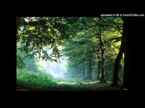 The Trees Community — The Trees Community - Psalm 45